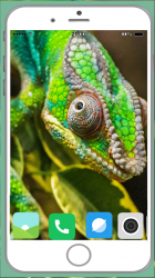 Imágen 6 Chameleon Full HD Wallpaper android