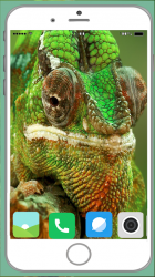 Screenshot 12 Chameleon Full HD Wallpaper android