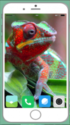 Captura 5 Chameleon Full HD Wallpaper android