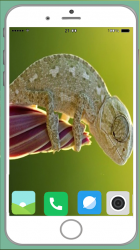 Imágen 11 Chameleon Full HD Wallpaper android