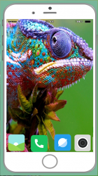 Captura 10 Chameleon Full HD Wallpaper android