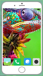 Imágen 2 Chameleon Full HD Wallpaper android