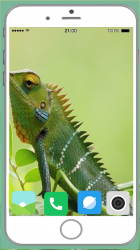 Imágen 13 Chameleon Full HD Wallpaper android