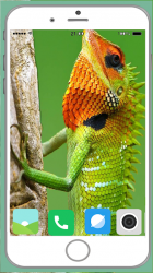 Screenshot 8 Chameleon Full HD Wallpaper android