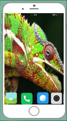 Imágen 9 Chameleon Full HD Wallpaper android