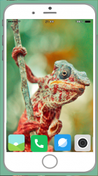 Screenshot 4 Chameleon Full HD Wallpaper android