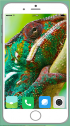 Captura de Pantalla 7 Chameleon Full HD Wallpaper android