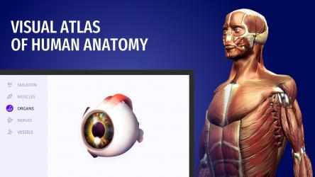 Screenshot 1 Body composition atlas: Learn anatomy windows