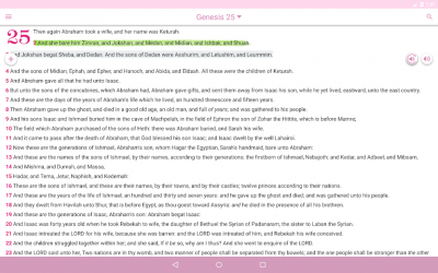 Captura de Pantalla 9 Daily Bible for Women & Devotion Offline android