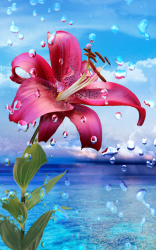 Imágen 5 Lluvia de verano, las flores android