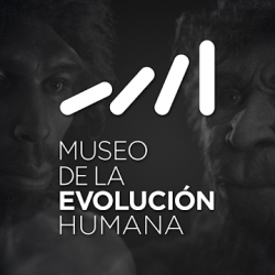 Image 1 Museo de la Evolución Humana android