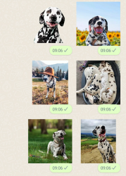 Captura de Pantalla 4 Dalmatian Dog Stickers android