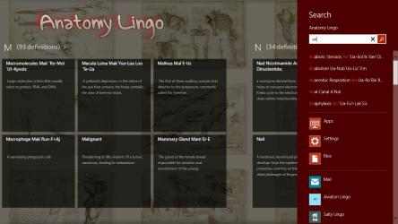 Screenshot 3 Anatomy Lingo windows