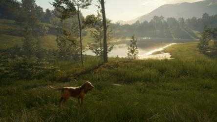 Screenshot 9 theHunter: Call of the Wild™ - Bloodhound windows