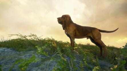 Imágen 1 theHunter: Call of the Wild™ - Bloodhound windows