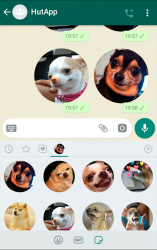 Screenshot 4 Mejor Stickers de perros WhatsApp WAStickerApps android