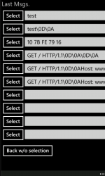 Screenshot 13 TCP-UDP windows