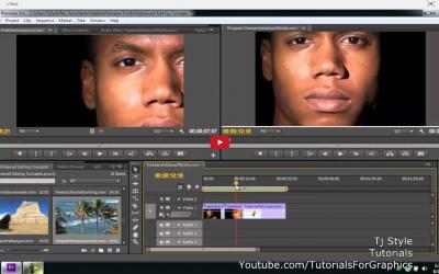 Capture 3 Simplified Guides For Adobe Premiere Pro windows