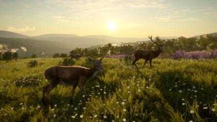 Imágen 6 theHunter™: Call of the Wild - Cuatro Colinas Game Reserve windows