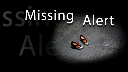 Capture 1 Missing Alert App windows
