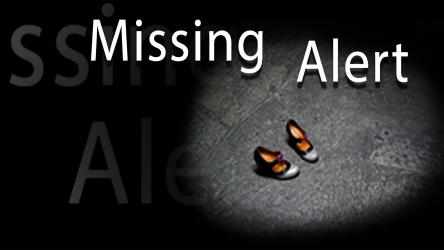 Image 6 Missing Alert App windows