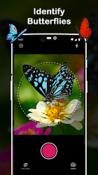 Captura de Pantalla 5 Insect Identifier : Insect ID, AI Photo Camera android