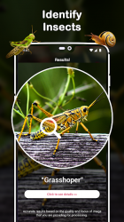 Screenshot 12 Insect Identifier : Insect ID, AI Photo Camera android