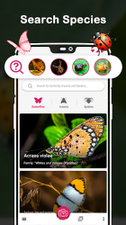 Captura 10 Insect Identifier : Insect ID, AI Photo Camera android