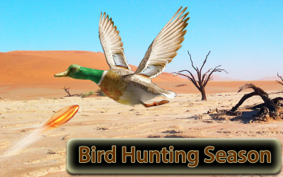Screenshot 3 juegos de cacería caza de aves android