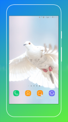 Captura de Pantalla 12 Pigeon Wallpaper android