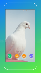 Captura de Pantalla 4 Pigeon Wallpaper android