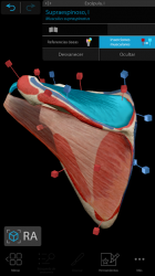 Captura de Pantalla 4 Atlas de anatomía humana 2021: el cuerpo en 3D  android