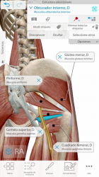 Captura 3 Atlas de anatomía humana 2021: el cuerpo en 3D  android
