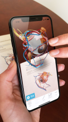 Screenshot 7 Atlas de anatomía humana 2021: el cuerpo en 3D  android